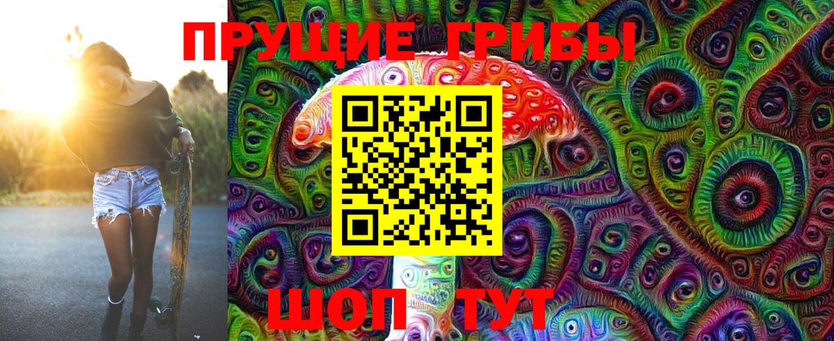 Псилоцибиновые грибы мицелий Донецк